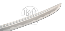 Load image into Gallery viewer, Citadel Dragon Tanto - Limited Edition