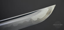 Load image into Gallery viewer, Spring Sakura Katana - DTB