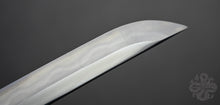 Load image into Gallery viewer, Practical Pro Katana