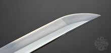 Load image into Gallery viewer, PSK Elite Katana - PSK