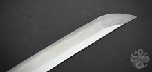 Load image into Gallery viewer, PSK Pro Elite Katana - PSK