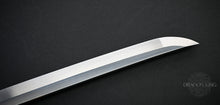 Load image into Gallery viewer, Winter Sun Katana - TTB