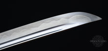 Load image into Gallery viewer, Winter Sun Katana - DTB